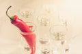 Drink set with shots of vodka and red pepper/Drink set with shot Royalty Free Stock Photo