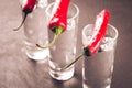 Drink set with shots of vodka and red pepper/ Drink set with shots of vodka and red pepper on a dark background. Selective focus Royalty Free Stock Photo