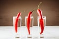 Drink set with three shots of vodka and red pepper/Drink set with three shots of vodka and red pepper. Selective focus Royalty Free Stock Photo