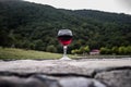 Drink in tall glass in poolside. Refreshment on summer day. Purple juice cocktail or vine. Mountain forest background. Royalty Free Stock Photo