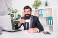 Drink to turbocharge health in morning. Lawyer drink tea at office desk. Businessman enjoy coffee break at work. Hot Royalty Free Stock Photo