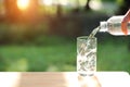 Drink water pouring into empty glass with natural green background Royalty Free Stock Photo