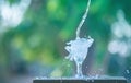 Drink water pouring in to glass Royalty Free Stock Photo