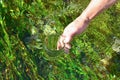 Drinkable, pure, clean and hygiene natural waters Royalty Free Stock Photo