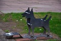 Drinking bowl for thirsty dogs in the city of Worms