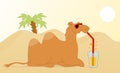 Drinking Camel