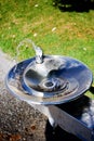 Drinking Fountain