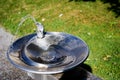 Drinking Fountain