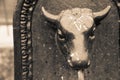 Drinking fountain bull, Retro styled Toret - Little bull - fountain in Turin, Italy.