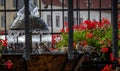 drinking fountain in Piata Mare square, main square of Sibiu city in Transylvania, Romania Royalty Free Stock Photo