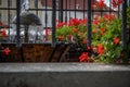 drinking fountain in Piata Mare square, main square of Sibiu city in Transylvania, Romania Royalty Free Stock Photo