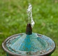 Drinking fountain water Royalty Free Stock Photo