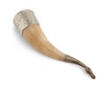 Drinking horn