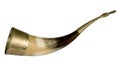 Drinking horn with brass accents