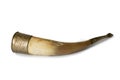 Drinking horn