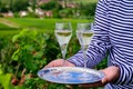 Drinking of champagne on green hilly vineyards in small village Urville in Cote des Bar,