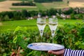 Drinking of sparkling white wine with bubbles champagne on green hilly vineyards in small village Urville in Cote des Bar, Royalty Free Stock Photo