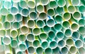 Drinking straws closeup Royalty Free Stock Photo