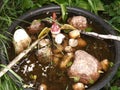 Drinking trough for birds and insects with stones and woods Royalty Free Stock Photo