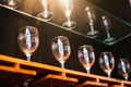 Drinking wine glasses shelf in restaurant with lighting showcase background. Many clean containers in restaurant or night pub and Royalty Free Stock Photo