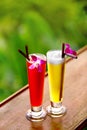 Drinks. Exotic Cocktails In Tropical Bar. Thailand Vacations. Ce Royalty Free Stock Photo