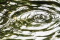 Drop fell on the water surface water ripple is pink, which as the background.