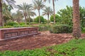 Drip irrigation system hoses with automatic sprinkler in desert oasis garden. Royalty Free Stock Photo