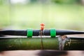 Drip Irrigation System. Water saving drip irrigation system being used in farm Royalty Free Stock Photo