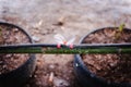 Drip Irrigation System. Water saving drip irrigation system being used in farm Royalty Free Stock Photo