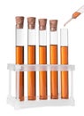 Dripping brown liquid from pipette into test tube on white background Royalty Free Stock Photo