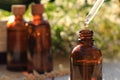 Dripping chamomile essential oil from pipette into bottle on blurred background, closeup. Space for text Royalty Free Stock Photo