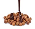 hazelnuts with chocolate Royalty Free Stock Photo