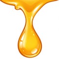 Dripping Golden Honey Drop with Glossy Highlights on White Background Royalty Free Stock Photo