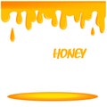 Dripping honey. Golden yellow realistic syrup or juice dripping liquid oil splashes vector template. Illustration isolated