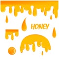 Dripping honey. Liquid golden oil or sauce food drops caramel splash and flowing vector realistic template.Graphic concept for