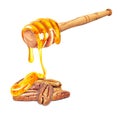 pecans with honey Royalty Free Stock Photo