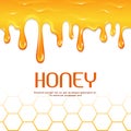 Dripping honey seamless vector border Royalty Free Stock Photo