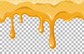 Dripping honey . Vector illustration