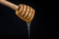 Honey dripping isolated on black background Royalty Free Stock Photo