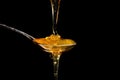 Honey dripping isolated on black background Royalty Free Stock Photo