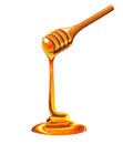 Dripping honey on wooden spoon Royalty Free Stock Photo