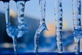 Dripping icicles against the sky. transparent icicle close up ag Royalty Free Stock Photo