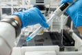 Dripping liquid from pipette into test tube in laboratory, closeup Royalty Free Stock Photo