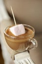 Dripping a marshmallow in a cup of chocolate cream Royalty Free Stock Photo