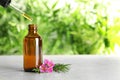 Dripping natural essential oil into bottle near tea tree branch on table