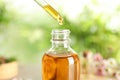 Dripping natural tea tree essential oil into bottle on blurred background Royalty Free Stock Photo