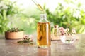 Dripping natural tea tree essential oil into bottle