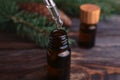 Dripping pine essential oil into bottle at wooden table, closeup Royalty Free Stock Photo