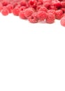 Dripping raspberry on white background. Royalty Free Stock Photo