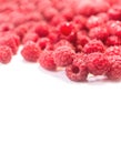 Dripping raspberry on white background. Royalty Free Stock Photo